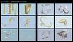 the BodySign collection